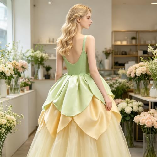 Princess Costume for Women Adult Halloween Cosplay Dress Outfits