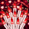 Minetom Red Christmas Lights 100 Count 20 Feet Incandescent Bulb