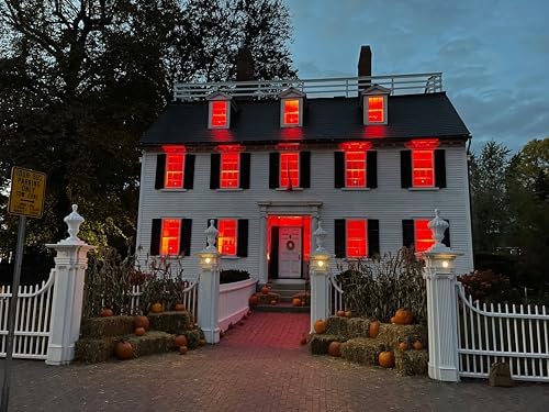 Hompavo Upgraded Flame Light Bulbs for Halloween Decorations, 4 Modes E26