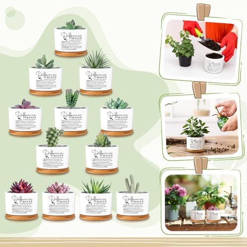 12 Pcs Difference Maker Gifts Succulent Pots Bulk for Employee