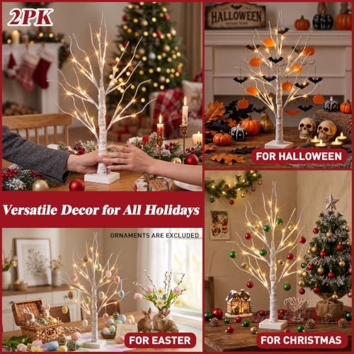 PEIDUO Christmas Decorations, 2FT Birch Tree with LED Lights, Warm White Light up Tree Lamp, Artificial Trees for Home Table Inside, Battery Powered, Timer (2PK)