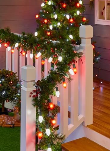 C9 Christmas Lights Outdoor, 100Ft 50 LED Red & Pure White String Lights