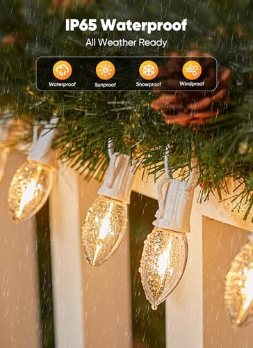 Vintage C9 Christmas Lights Outdoor, 25FT 25 LED String Lights Warm White