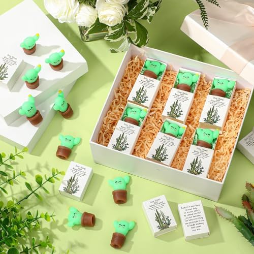 24 Sets Believe in Yourself Gifts Cactus Growing Party Favors