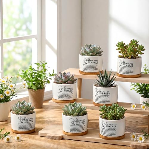 12 Pcs Difference Maker Gifts Succulent Pots Bulk for Employee