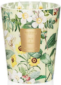 M&SENSE Sage Citrus Soy Candle, 35oz 3-Wick, Kitchen Fresh Odor Eliminator