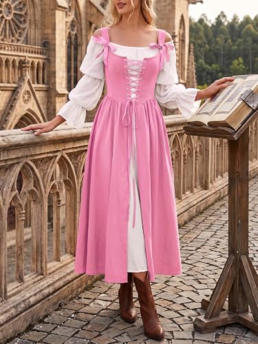 Wenrine Renaissance Costume Womens Lace Up Corset Halloween Medieval Dress