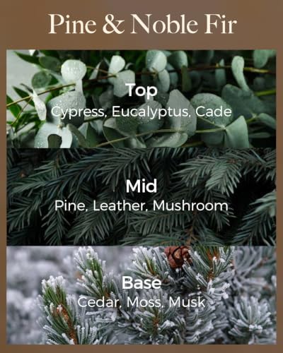 M&SENSE Pine Noble Fir Soy Candle, 35oz 3-Wick, Winter Scented Candles
