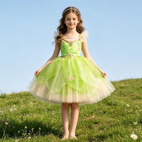Fairy Costume for Girl Dress Up Halloween Cosplay with Wig