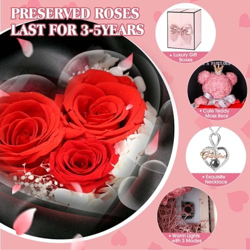 ADDWel Grandma Birthday Gifts, Preserved Rose Box with Grandma Necklace