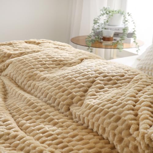 Puncuntex Beige Throw Blanket 50"×60" inches Fuzzy 3D Jacquard Decorative