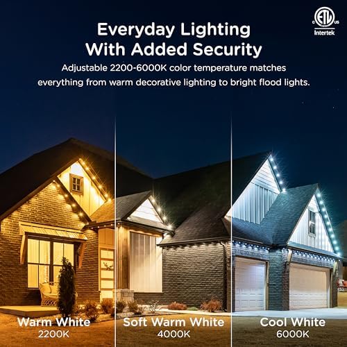 Enbrighten Eternity Permanent Outdoor Lights, 50ft, 36 Lights