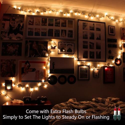 BrizLabs Steady & Twinkle Christmas Lights 100-ct Clear Mini Light String