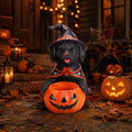 Halloween Black Labrador Witch Puppy Figurine, with Pumpkin Candy Bowl