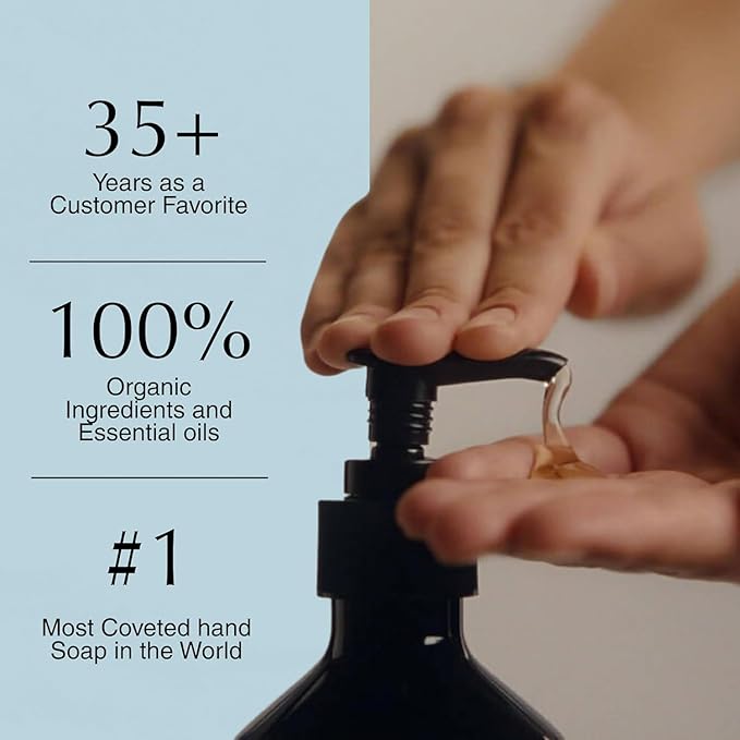 Aesop Reverence Aromatique Exfoliating Hand Wash | Exfoliating Hand Soap with Finely Milled Pumice | Gentle Cleanser & Skin-Smoothing Formula with Vetiver, Petitgrain & Bergamot | 500mL / 16.9 oz