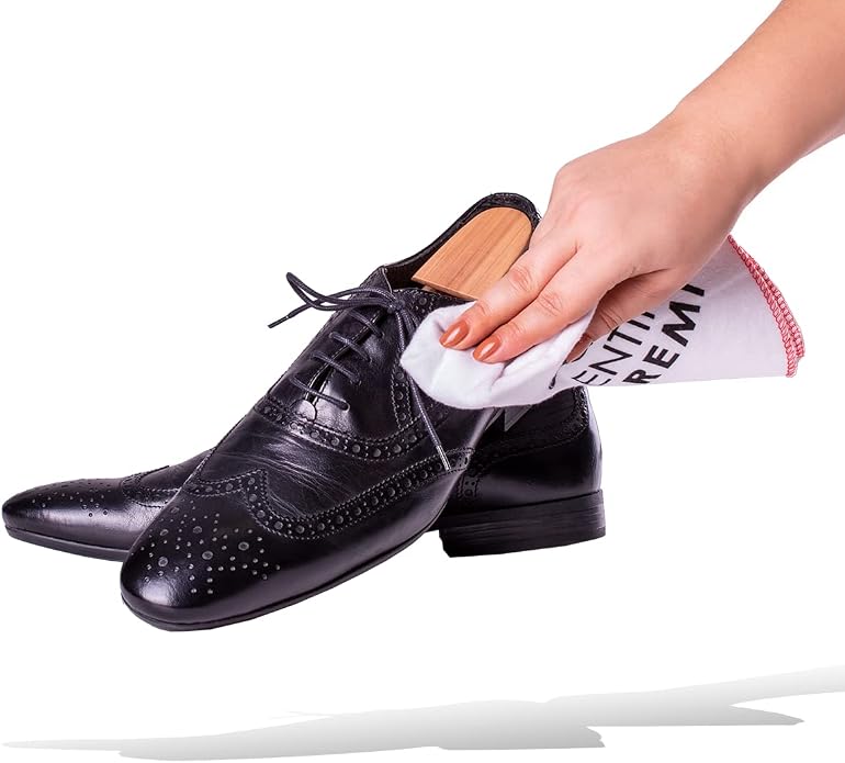 Shoe Care Kit – 6 Piece Set with Horsehair Brushes, Applicators & Cotton Cloth – Leather Shoe Cleaning & Polishing Kit – Made in Germany