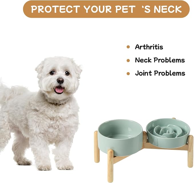 Havniva Elevated Slow Feeder Dog Bowls, Ceramic Dog Bowl Slow Feeder Set | 0.9 Cups Raised Slow Feeder Dog Bowl for Small Breed, 6.1” Dog Water Bowl with Wooden Stand, Puzzle Dog Food Bowl, Non-slip