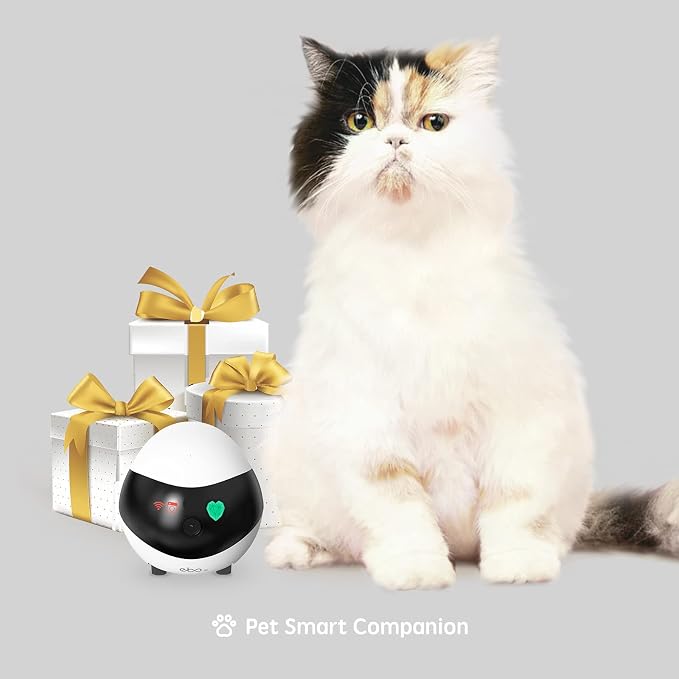 Enabot EBO SE Home Robot Camera: 1080P Mobile FamilyBot Pet Companion | Whole-Home Mobility, Two-Way Talk, Night Vision, Local Storage, Auto-Recharge, Long Distance Gift for Family/Pet