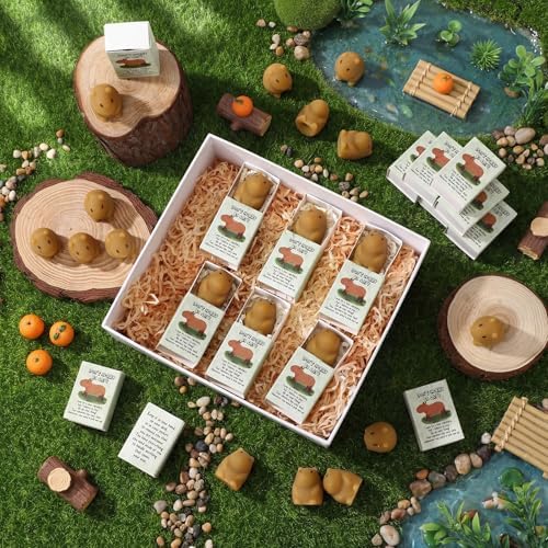 Wettarn 24 Sets Capybara Figures with Boxes, Appreciation Gifts