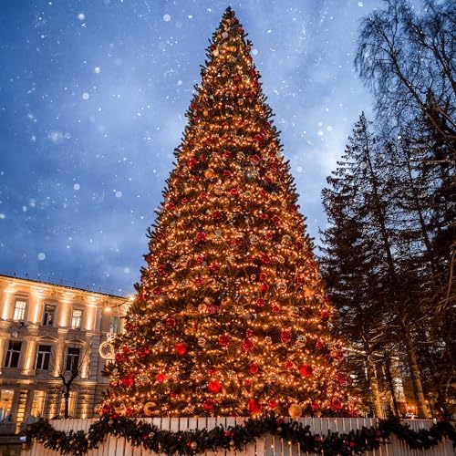 Northlight Olympia Pine Artificial Christmas Tree - Warm White LED 20'