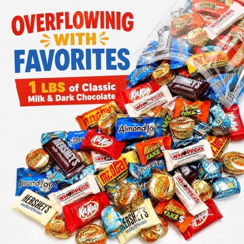 Bulk Chocolate Assortment Variety Pack - Chocolate Candy Variety Pack -1 lb Bag of Milk, Dark, Bars and more! Bulk Candy Mix for Treat Bags (1 LBS)