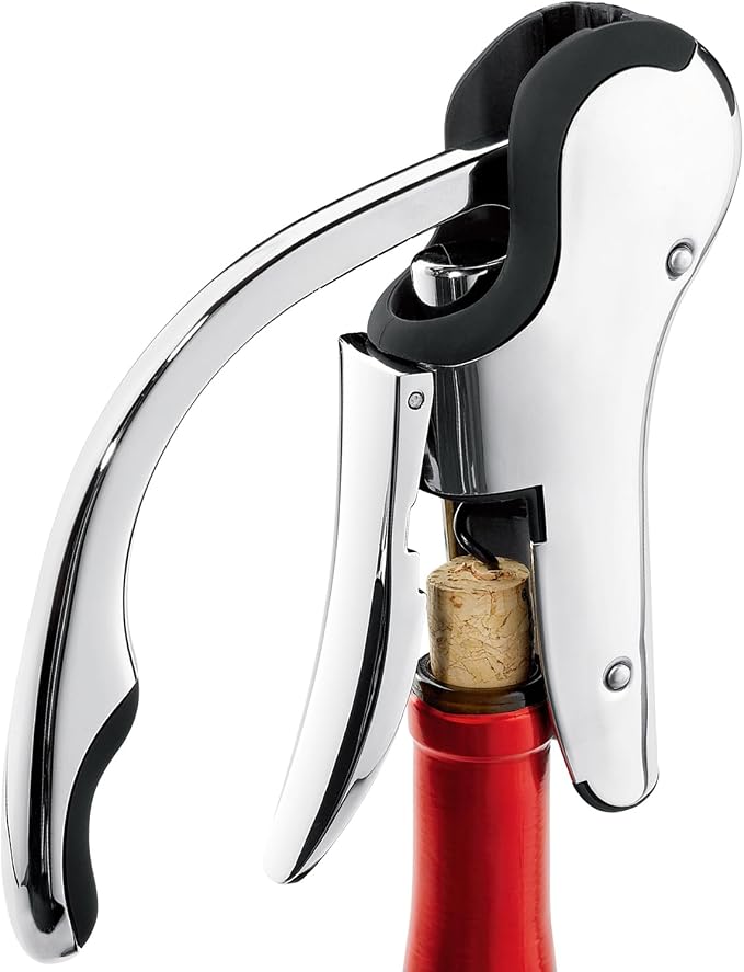 KEISSCO Stainless Steel Wine Opener Set - Compact Vertical Corkscrew Wine Bottle Opener Gift Set with Foil Cutter, Aerator Pourer, Vacuum Pump and 2 Wine Stoppers, Wine Gift Set for Home Party Bar