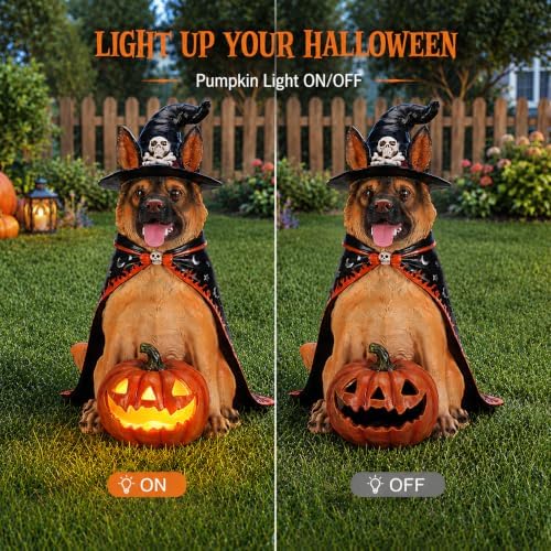 Halloween Large German Shepherd Statue with Glowing Pumpkin, Entrance Decor
