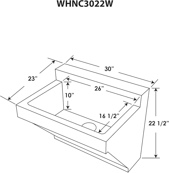 Whitehaus WHNC3022W-BSS Noah'S Collection 30-Inch Commercial Wall Hung Laundry-Scrub Sink, Brushed Stainless Steel