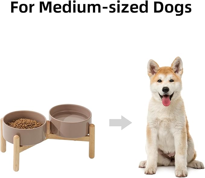 Havniva Elevated Dog Bowls Ceramic Dog Bowls with Stand, Dog Food Bowl | 6.1” Raised Dog Bowls with Non-Slip Wood Stand, Dog Food and Water Bowl Set, Double Dog Feeding Bowls for Small & Medium Dogs