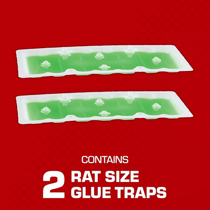 Tomcat Super Hold Glue Traps Rat Size, 2 Traps | For Rats, Mice, Snakes, Cockroaches, Spiders, and Scorpions, Ready-To-Use