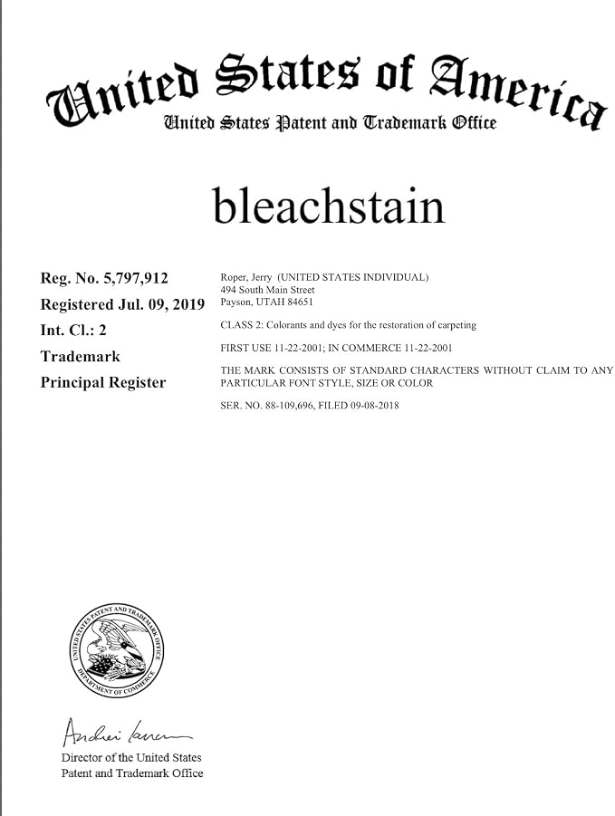 BLEACHSTAIN® Homeowner’s Carpet Spot Dye Kit™ | Restores Carpet Color | Repair Discoloration from Bleach Stains, Acne medications, or Chemical Marks and Spots