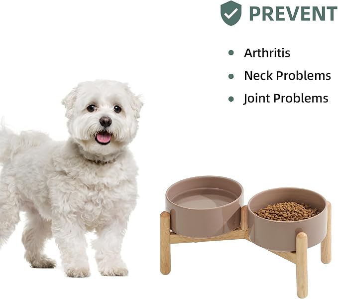 Havniva Elevated Dog Bowls Ceramic Dog Bowls with Stand, Dog Food Bowl | 6.1” Raised Dog Bowls with Non-Slip Wood Stand, Dog Food and Water Bowl Set, Double Dog Feeding Bowls for Small & Medium Dogs