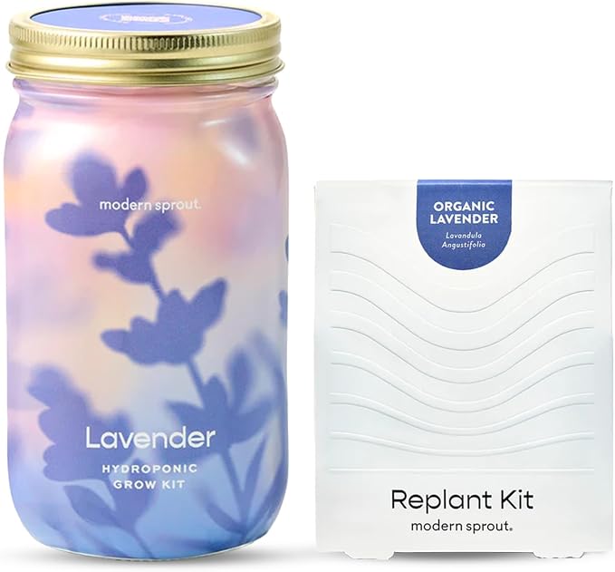 Modern Sprout Mason Garden Jar + Replant Kit - Self-Watering Hydroponics Growing System Kit w/Organic Herb Seeds - Jar Planter for Indoor Herb Garden - Seed Starter - Gift for Mother's Day - Lavender