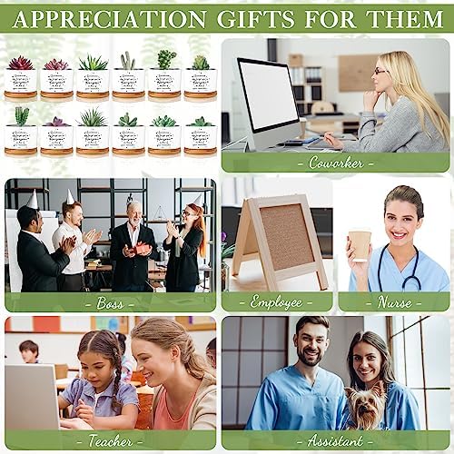 12 Pcs Inspirational Succulent Pots Thank You Employees Gifts Bulk