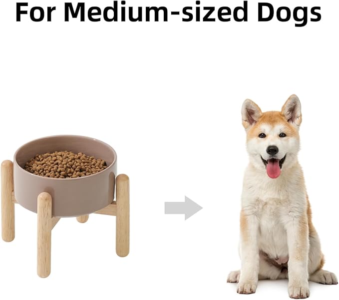 Havniva Elevated Dog Bowls Ceramic Dog Bowls with Stand, Dog Food Bowl | 6.1” Raised Dog Bowls with Non-Slip Wood Stand, Dog Food and Water Bowl Set, Dog Feeding Bowls for Small & Medium Dogs