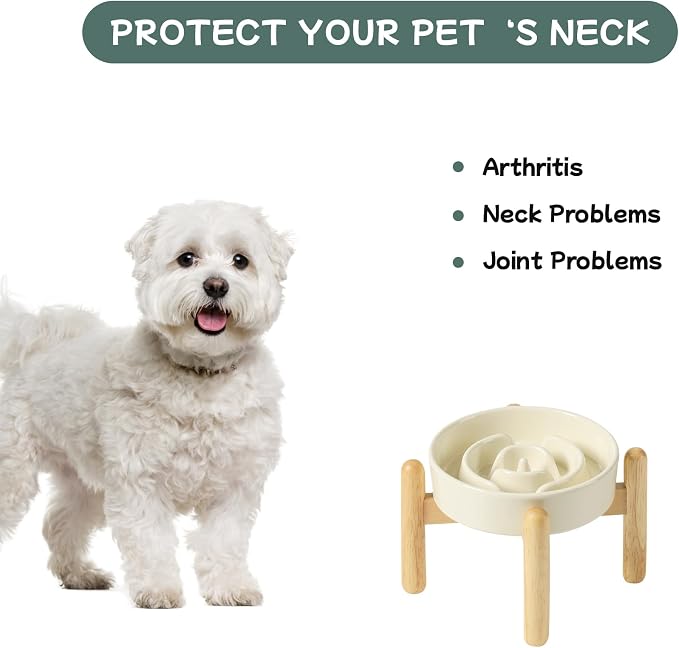Havniva Elevated Slow Feeder Dog Bowls, Ceramic Dog Bowl Slow Feeder | 0.9 Cups Raised Slow Feeding Bowl for Small Breed, Puzzle Dog Food Bowl with Wooden Stand, Non-Slip, Anti-Choking