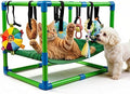 Puppy Play Gym with Hammock 8 Hanging Toys, Dog Jungle Gym Indoor Pets Cats Toys, Teething Chew Toys Puppy Gym Activities Center for Cats Adjustable Playground for Small Dogs at Home PVC Frame