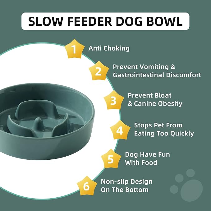 Havniva Dog Bowls Slow Feeder, Ceramic Slow Feeder Dog Bowls for Fast Eater | 0.9 Cups Dog Food Bowl Puzzle Feeder, Slow Feeding Bowls for Small Breed, Non-Slip Base, Anti-Choking