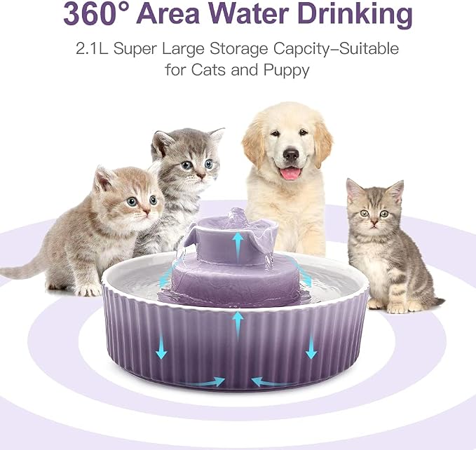 Cat Water Fountain: Cepheus Pet Drinking Fountain-2.1L/71oz Cat Fountain-Automatic Water Fountain for Cats and Dogs with with Ultra-Quiet Pump(Purple)