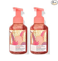 Bath and Body Works Gentle Foaming Hand Soap, 2-Pack 8.75 Ounce (Pink Pineapple Sunrise)
