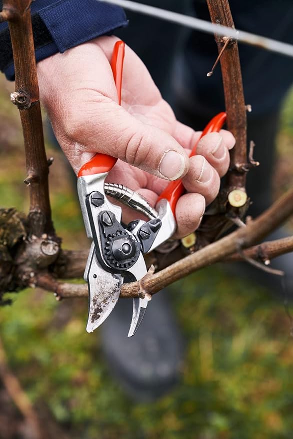 Felco F 14 Pruning Shears – 7.1" Garden Clippers for Small Hands with Bypass & Anvil Blades | Hand Pruners for Gardening | Garden Tool Cutter with Forged Alloy Steel Build, Lightweight Swiss Design