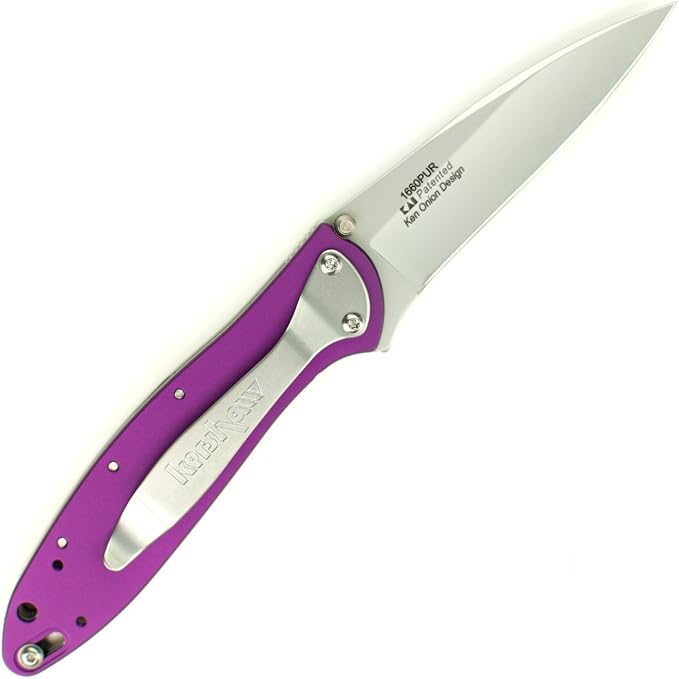 Kershaw Leek, BlackWash Pocket Knife (1660BLKW); 3 Sandvik 14C28N Steel Blade, 410 Stainless Steel Handle, BlackWash Finish, SpeedSafe Assisted Open, Frame and Tip Locks, Reversible Pocketclip; 3 OZ