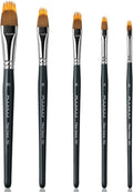 5Pcs Dual-Layer Grainer Paint Brush Set – Fuumuui Texture Comb/Filbert Brushes for Grass, Fur, Trees, Landscape – Synthetic Bristles for Watercolor, Acrylic, Painting Artist Tool