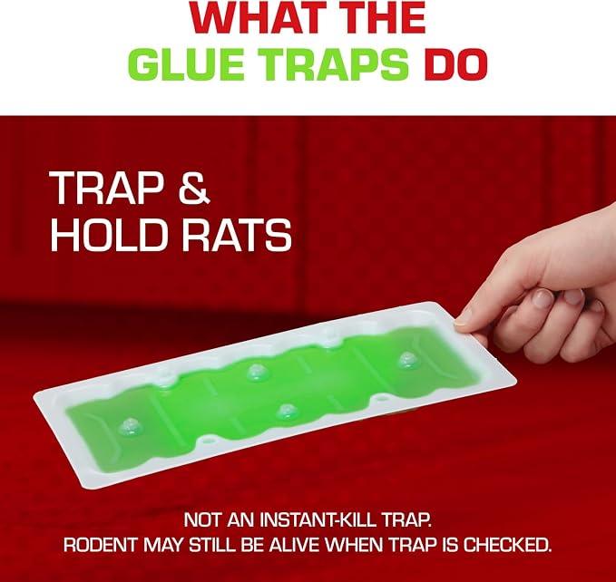 Tomcat Super Hold Glue Traps Rat Size, 2 Traps | For Rats, Mice, Snakes, Cockroaches, Spiders, and Scorpions, Ready-To-Use