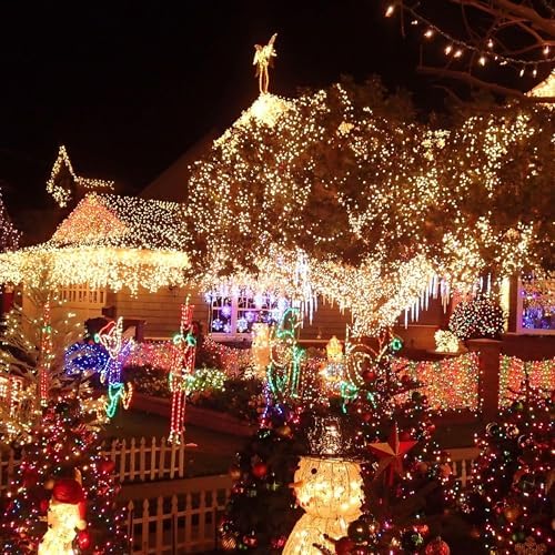 TW SHINE 66FT 200 LED Color Changing Christmas Lights, Warm White & Multi Color Waterproof String Lights with 11 Functions, Remote Christmas Decorations for Indoor Outdoor Party Wedding Garden Decor