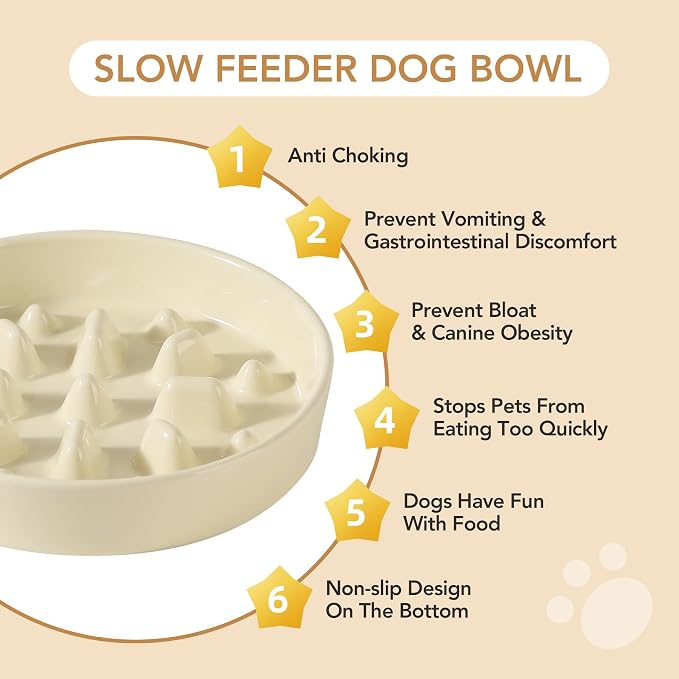 Havniva Elevated Slow Feeder Dog Bowls, Ceramic Dog Bowl Slow Feeder Set | 1.6 Cups Raised Slow Feeder Dog Bowl for Medium Breed, 7.3” Dog Water Bowl with Wooden Stand, Puzzle Dog Food Bowl, Non-slip