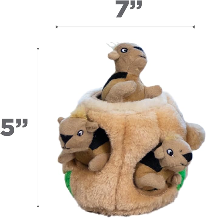 Outward Hound Hide-A-Squirrel Dog Toy – Interactive 2‑in‑1 Plush Puzzle with 3 Squeaky Removable Squirrels, Small