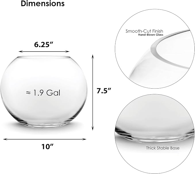 CYS EXCEL Glass Bubble Bowl (H-7.5" W-10, Approx. 1.6 Gal.) Multiple Size Choices Fish Bowl Vase Glass Round Bowl Terrarium Globe Flower Vase Centerpiece