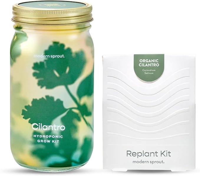 Modern Sprout Mason Garden Jar + Replant Kit - Self-Watering Hydroponics Growing System Kit w/Organic Herb Seeds - Jar Planter for Indoor Herb Garden - Seed Starter - Gift for Mother's Day - Cilantro