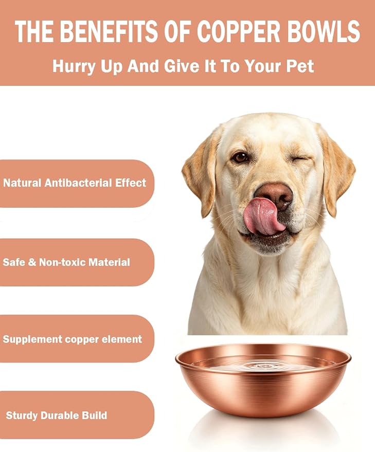8.66 Inch Large Round Hand Forged Pure Solid Copper Pet Bowl, Heavy Duty Dog Copper Bowl for Food & Water, Premium Feeding Copper Bowl for Dogs Cats & All Household Pets (1)